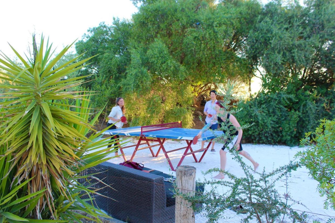 Room In Villa - Beautiful Accommodation At The Heart Of Andalusia Puente Genil Exterior foto